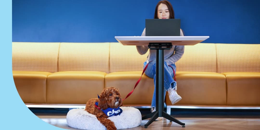 Looking for a Customer Service Role? These 13 Companies Are Hiring Now