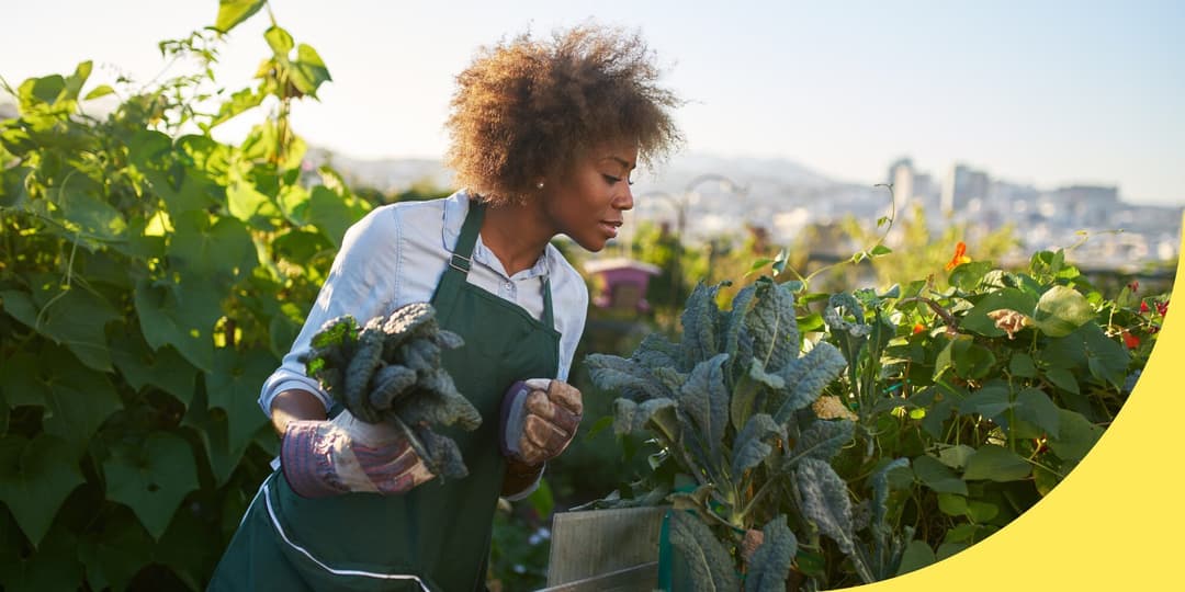 You Don’t Have to Be a Chef to Work in Food—Here Are 13 Jobs to Consider