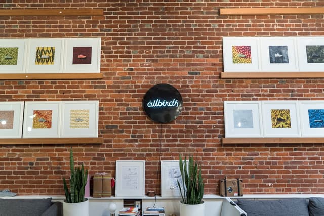 Working at Allbirds