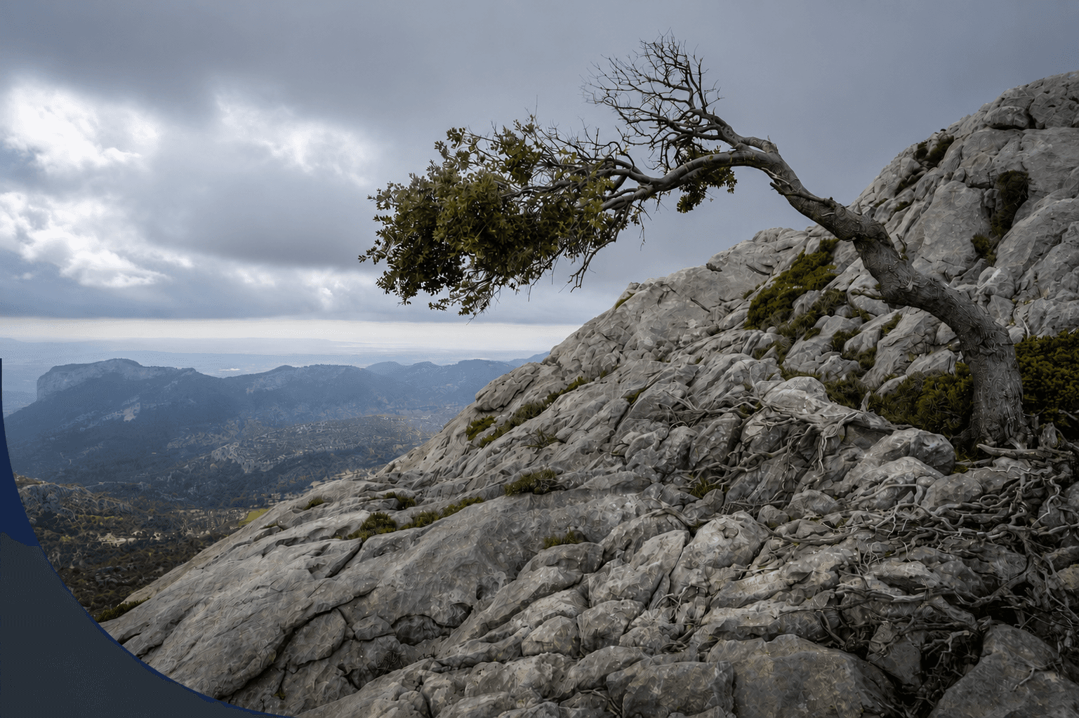 I wore resilience like a badge until I realized it was holding me back