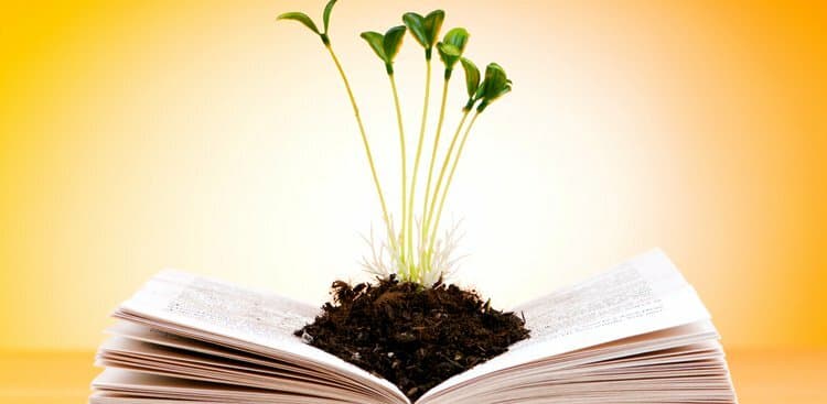 12 Perfect Books for Your End-of-Summer Reading List