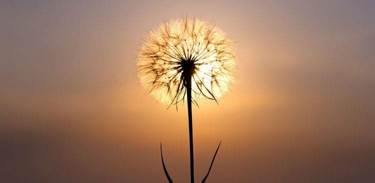 How the World's Most Influential Leaders Spend Their Days