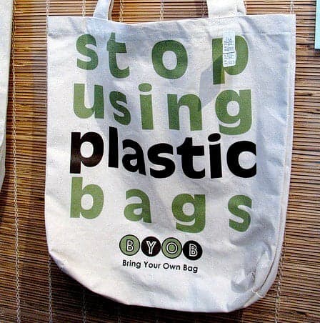 5 Companies that Really Mean “Green”