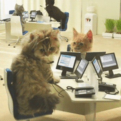 13 GIF Cards to Send to Your Co-Workers