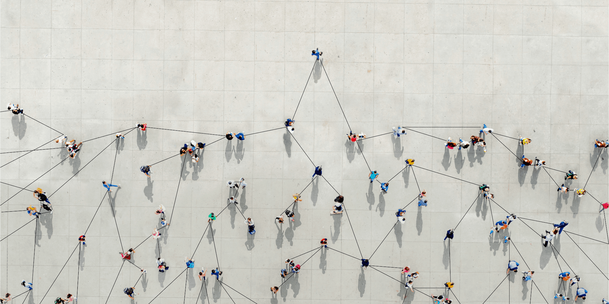 aerial view of people connected in a web of thin black lines against a neutral background